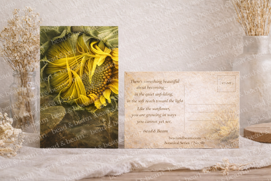 Sunflower Botanical Postcard – Vintage Style Bloom Art Print