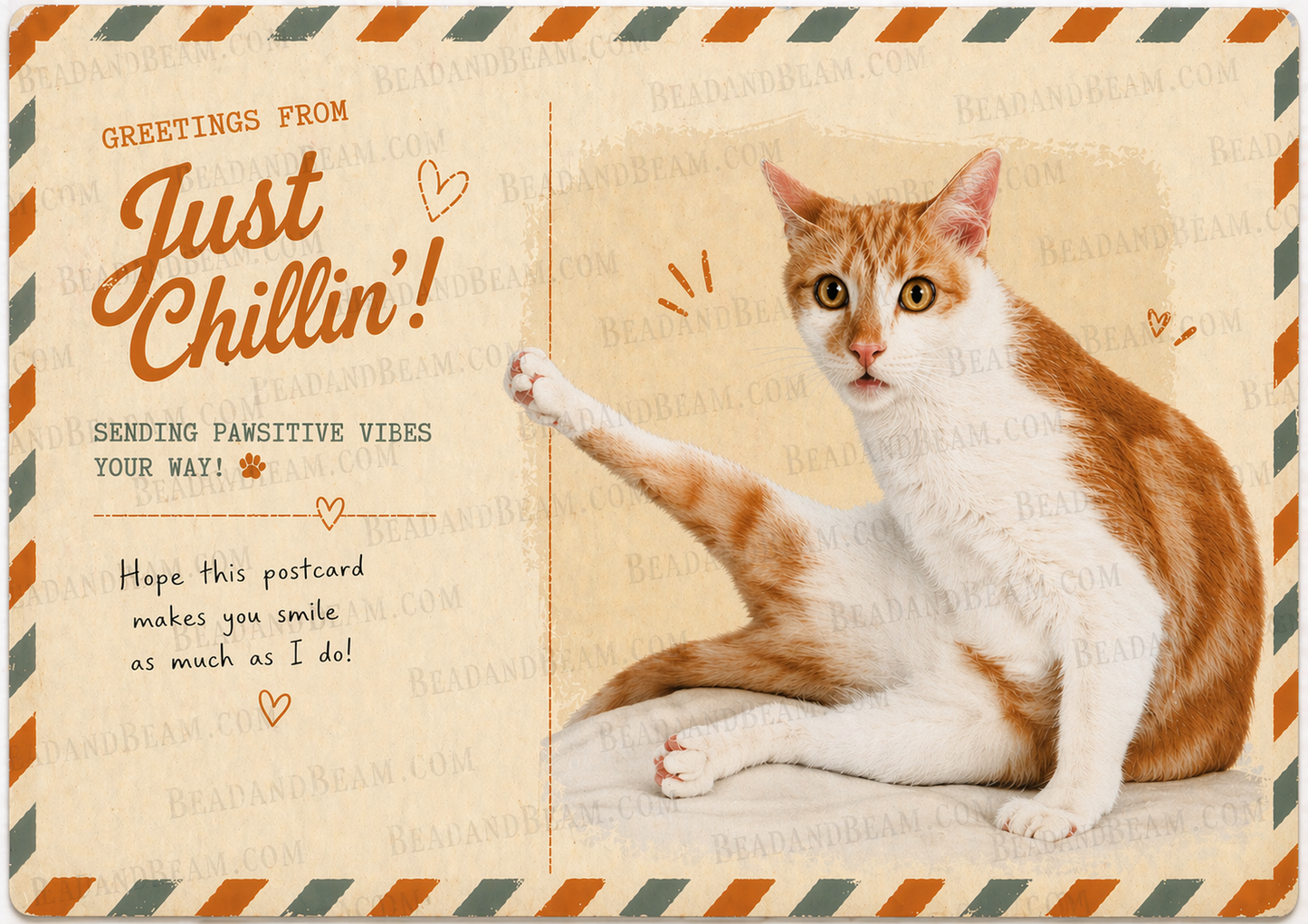 Cat on a vintage-style postcard with 'Just Chillin!' text